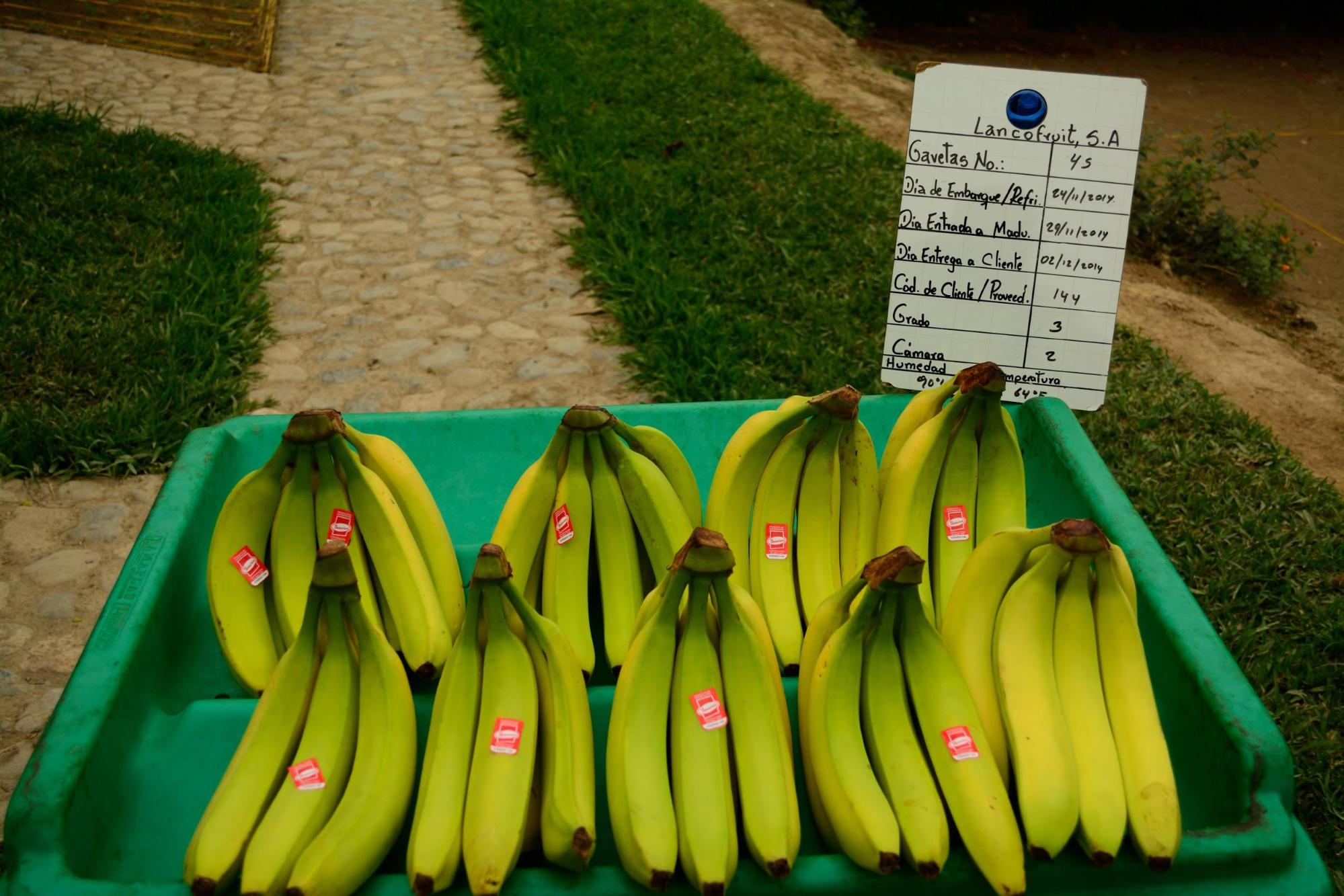 Productos Gaveta Dedos