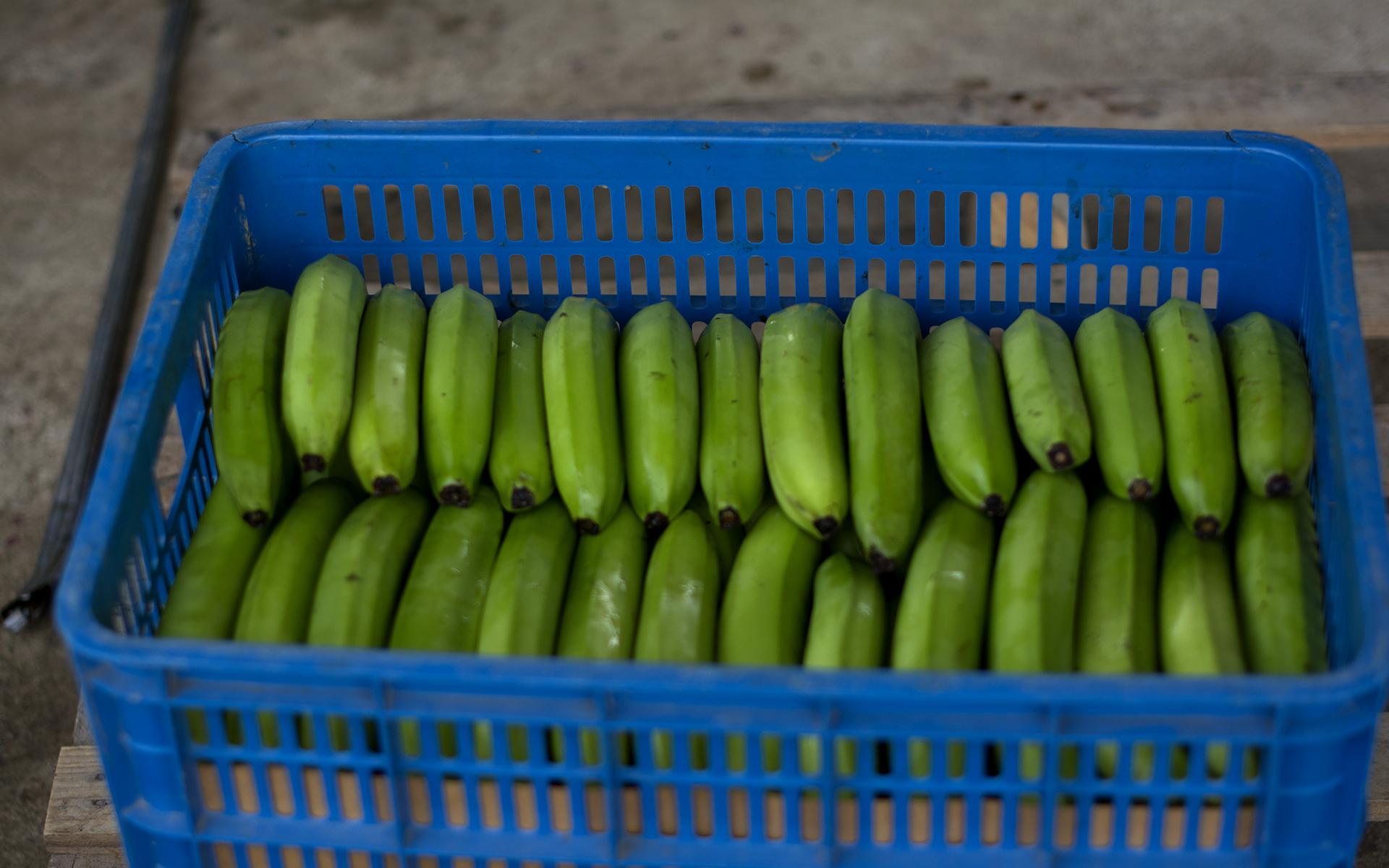 Productos Gaveta Dedos