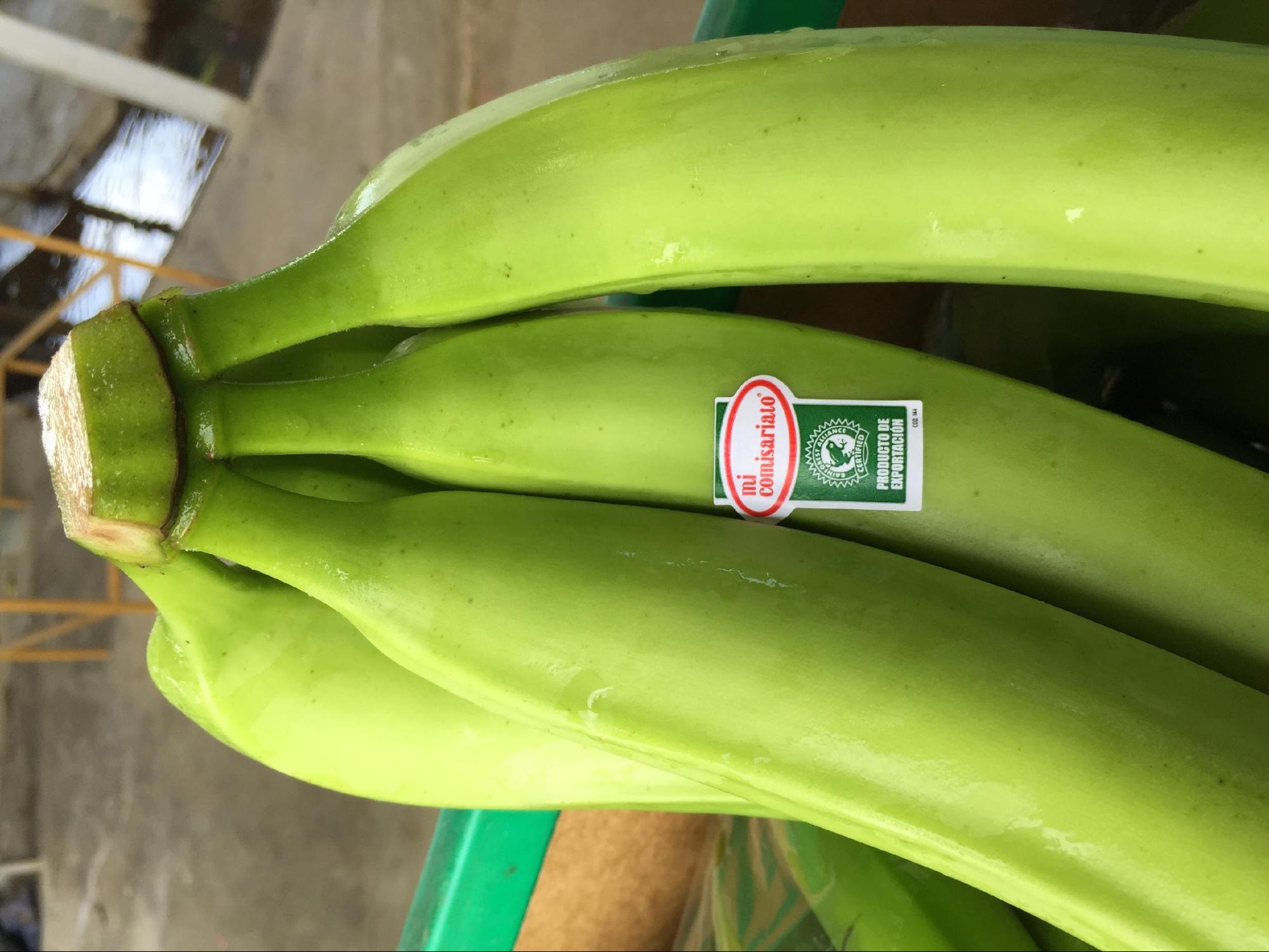 Productos Mi comisariato